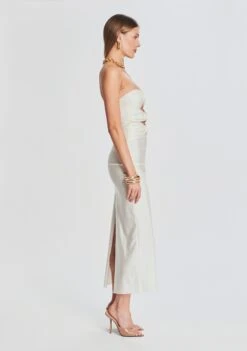 Lily Lycra Maxi Dress -Zesty Dresses Sales Ecommerce Crop 221129 Ecom Set2 SHOT 12 1915