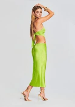Penina Silk Midi Skirt -Zesty Dresses Sales Ecommerce Crop 230419 Set2 Shot 34 4917 eComm