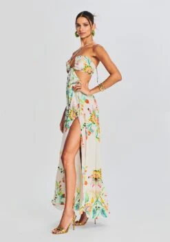 Susan Maxi Dress -Zesty Dresses Sales Ecommerce Crop 230510 RETROFETE SET1 6284 eComm