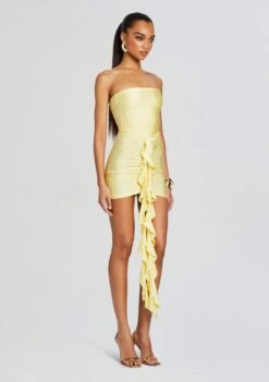 Serena Mini Dress -Zesty Dresses Sales Ecommerce Crop 24 02 15 SERENAMINIDRESS YELLOWMACARON 1150 ECOMM